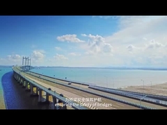 AC220V 50Hz Berat Dalam Gerak Sistem IP68 Overweight Identifier