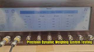 High Speed Dynamic Weighing System Controller Testing with Quart Sensor before Installation